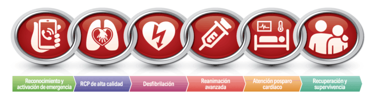 Cadena de supervivencia única para paro cardíaco intrahospitalario y extrahospitalario según las Guías AHA 2025