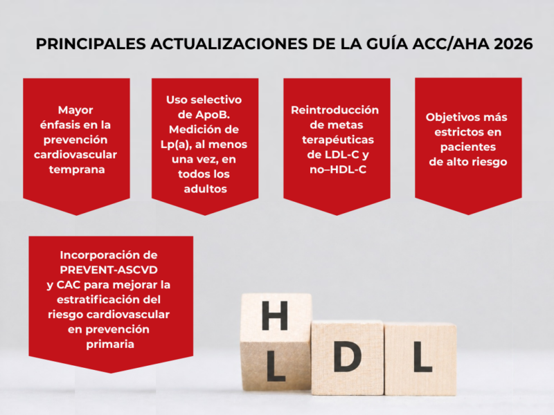 Cuadro sinóptico con las principales actualizaciones de la guía ACC/AHA 2026 sobre dislipidemia, incluyendo estratificación del riesgo cardiovascular, metas de LDL-C, ApoB, Lp(a) y prevención primaria.